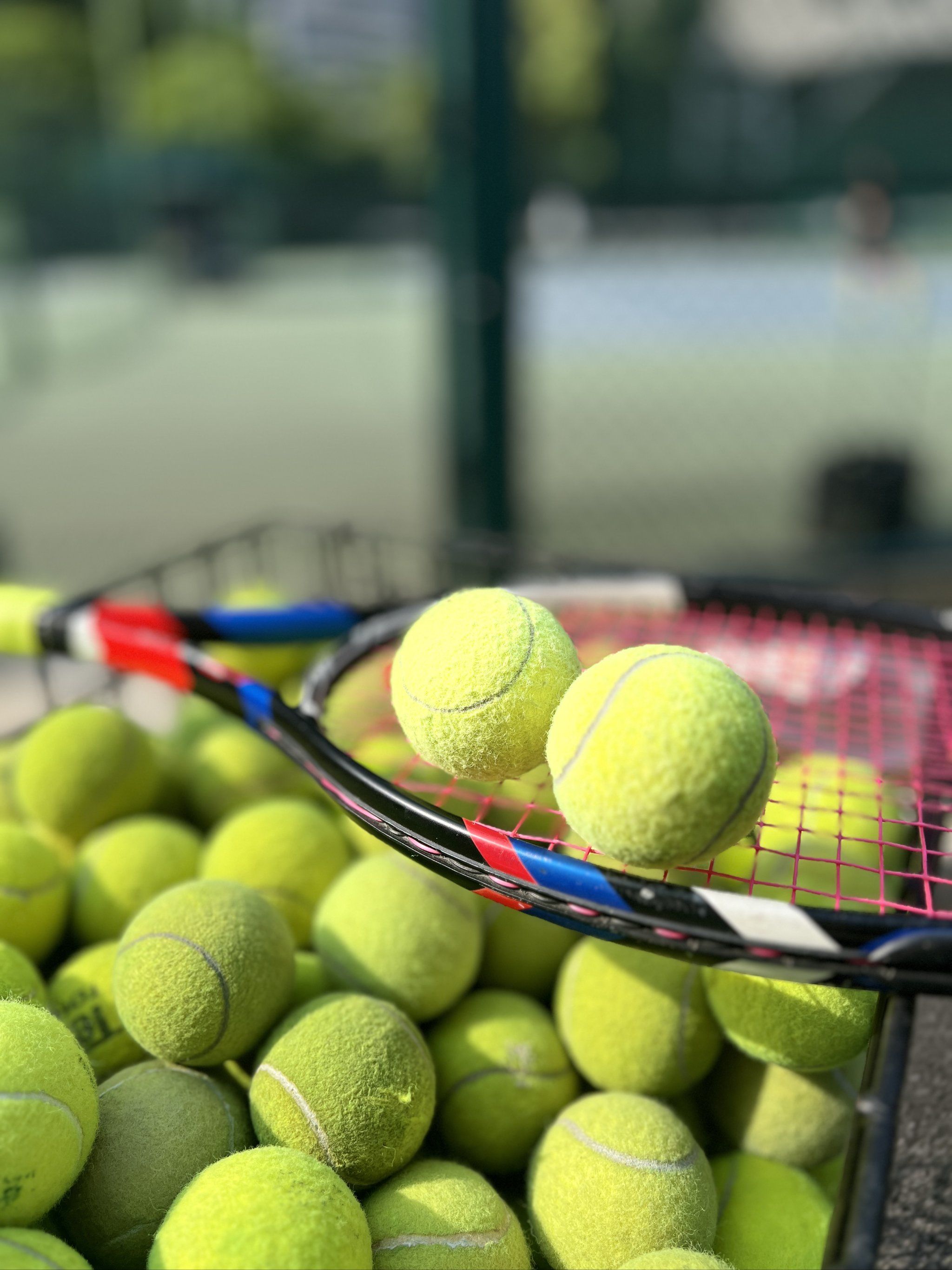 还能令对手 还能令对手